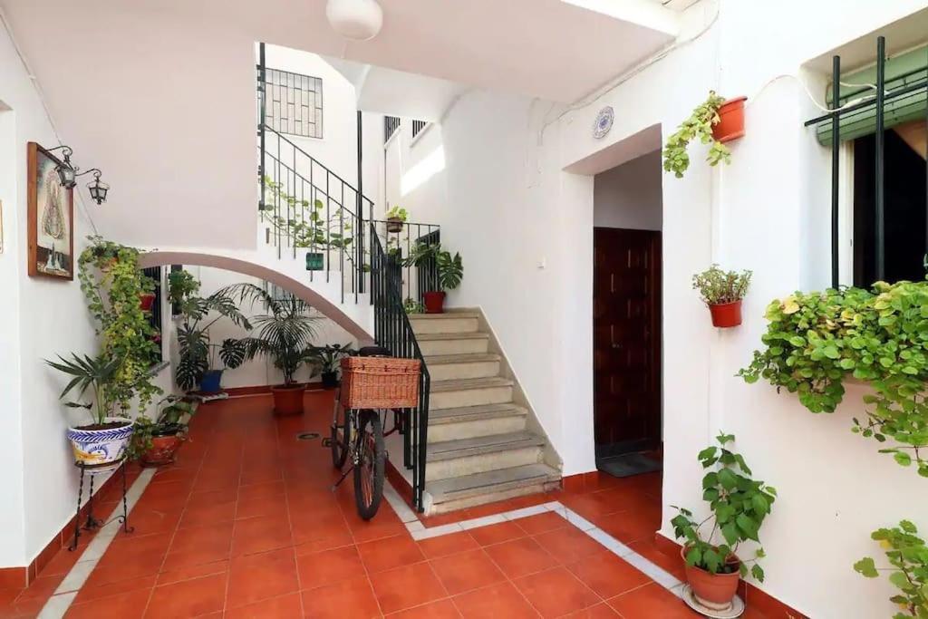 Kinahouse Lägenhet Córdoba Exteriör bild